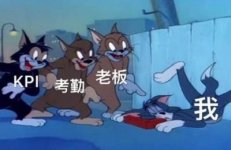 干部绩效考核系统,干部绩效考核管理办法